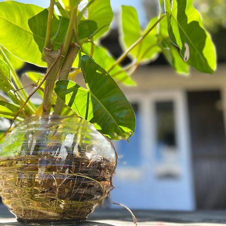 Ti'Laos Villa Cilaos Eksteriør bilde